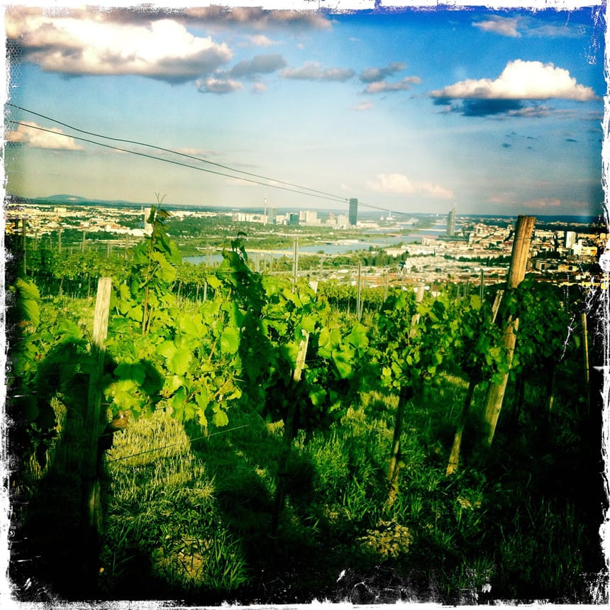 Østrig - et helt særligt vinland