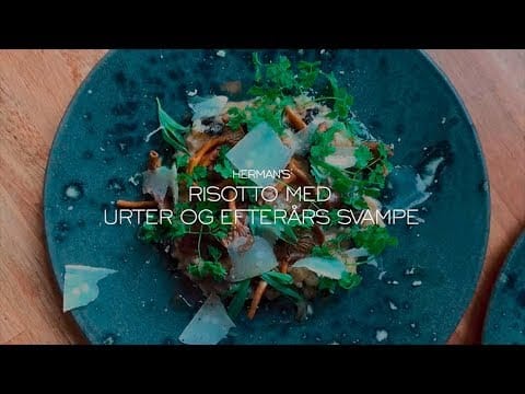 Risotto med urter og tørrede svampe
