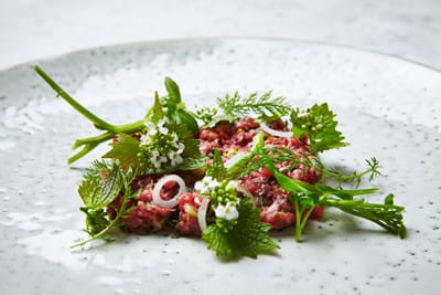 Rørt kalvetatar som på Herman