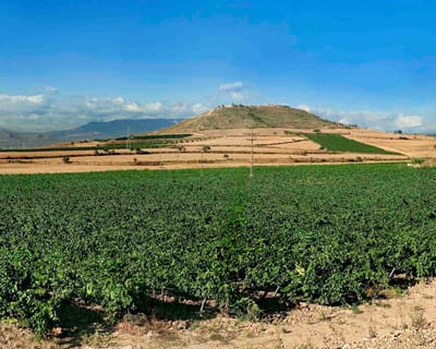 Spanien - Meget mere end Rioja og Ribera